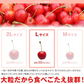 早期予約 さくらんぼ 山形県産 佐藤錦 Lサイズ ご家庭用 200g×2フードパック バラ詰め