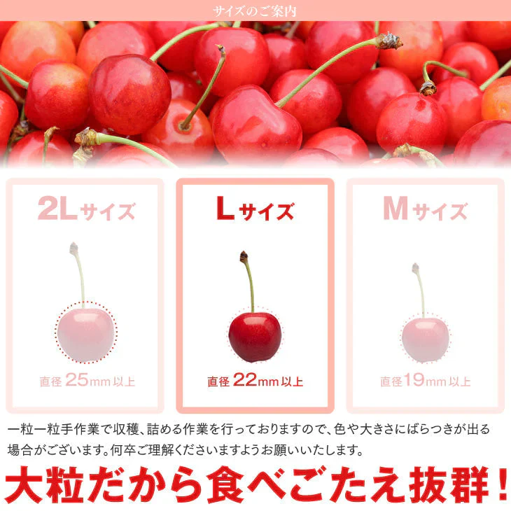 早期予約 さくらんぼ 山形県産 佐藤錦 Lサイズ ご家庭用 200g×2フードパック バラ詰め