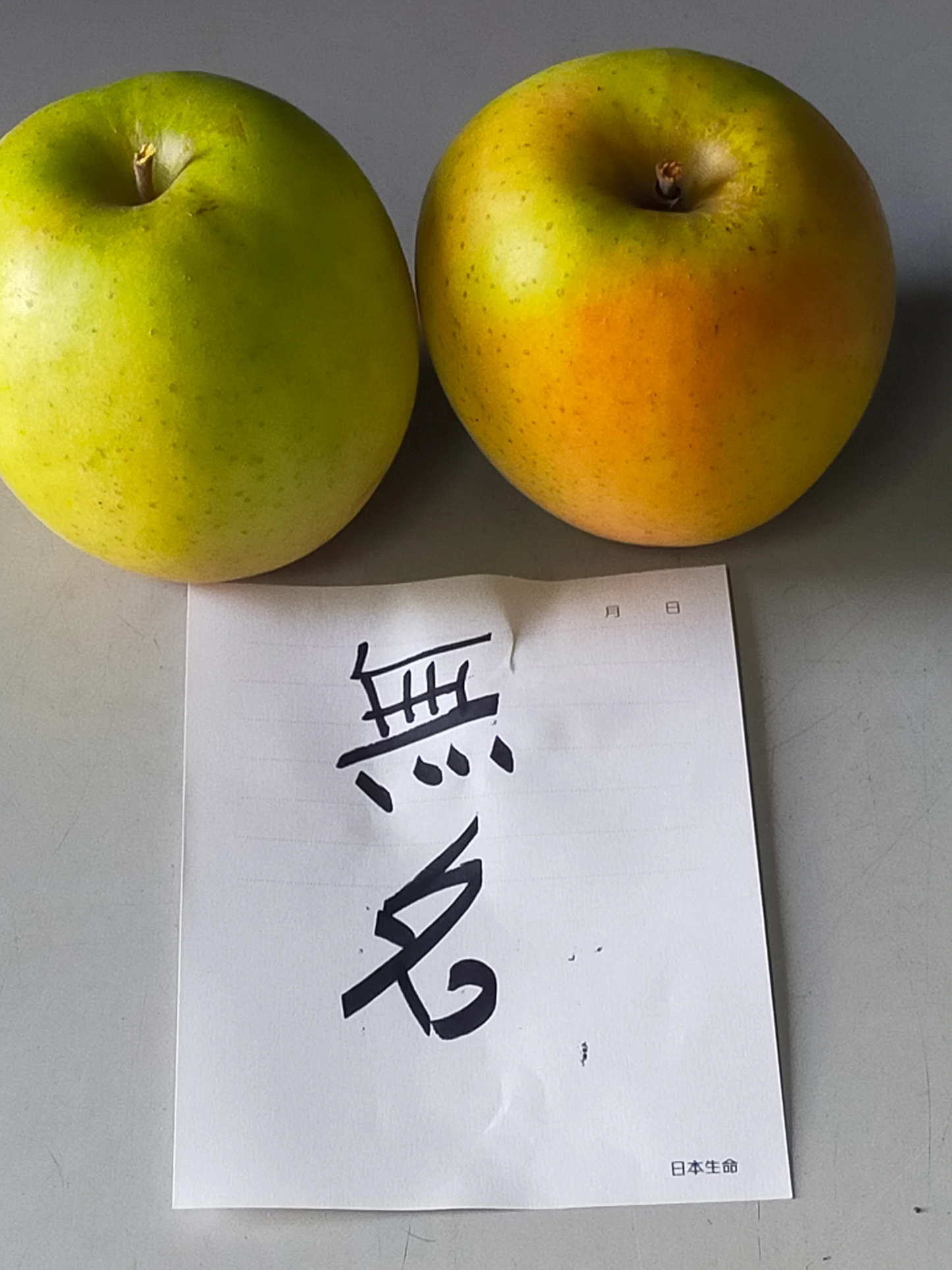 【送料無料】青森県産りんご　無登録の名無し とても甘くて美味しい 昨年も人気  1箱約3㎏ 約11個～変動あり 佐川急便冷蔵にて発送【6106】