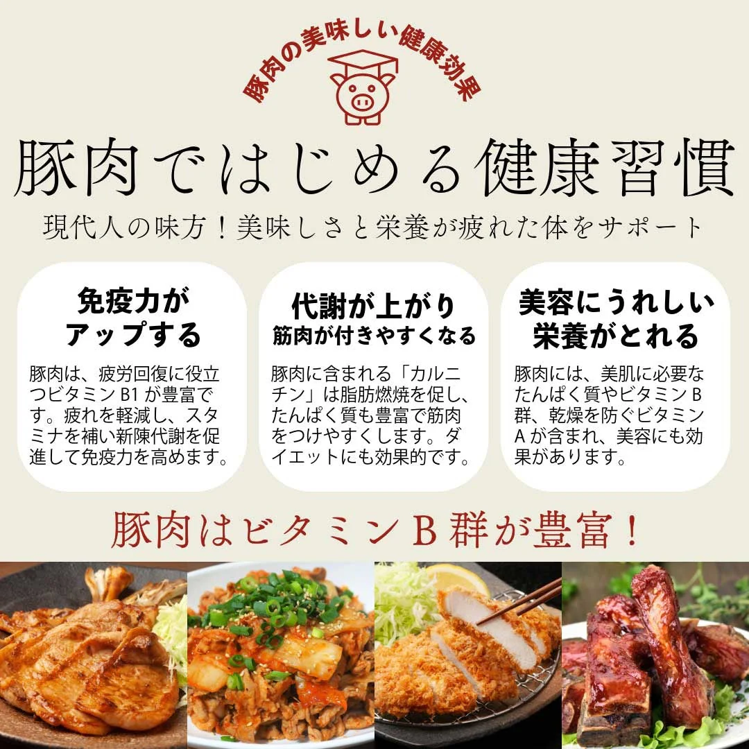 おうちごはん 国産 豚肉セット 2人前メニュー10品【豚ロース生姜焼き300g豚肩ロースとんかつ用300g豚ヒレブロック1本400-500g 豚ひき肉400g豚小間肉300g豚スペアリブ300g豚タン1本200g