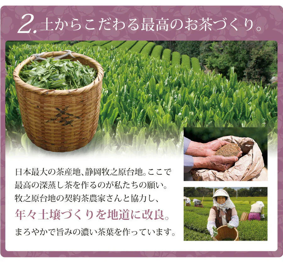 【2個セット】日本橋いなば園 静岡深蒸し茶 手摘み きわみ 100g ネコポス メール便送料無料