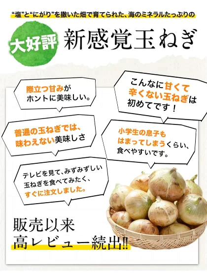 熊本県産 訳あり 塩たまちゃん 玉ねぎ たまねぎ 5kg 【5L-2Sサイズ不選別】 子出藤 (ねでふじ)さん 送料無料 塩タマネギ 新たまねぎ 塩玉ちゃん 塩玉 お取り寄せ お取り寄せグルメ《7-14営業日以内に出荷(土日祝除く)》
