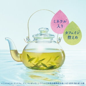 【送料無料】 コカ コーラ 綾鷹 ミネラル緑茶 2000ml 2L×1ケース/6本