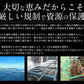 伊勢海老 千葉県産 外房イセエビ 特大サイズ600g×1尾 刺身 冷凍 伊勢エビ 伊勢えび えび エビ 海鮮 魚介 プリプリ 濃厚 グルメ 贈り物 ［送料無料］ 母の日 プレゼント ギフト  母の日思いの 健康 実用的 父の日 子供 孫