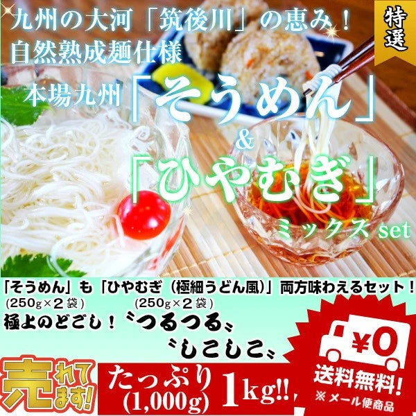 そうめん　ひやむぎ　冷麦　素麺　お取り寄せ　九州熟成そうめん250g×2袋　&　九州熟成ひやむぎ250g×2袋　たっぷり1キロ　お試しグルメギフト