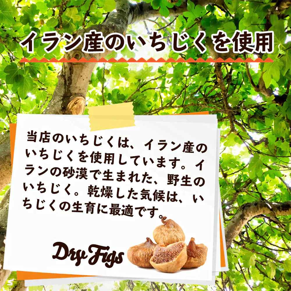 訳あり 割れいちじく 850g 【 いちじく ドライフルーツ 無添加 フルーツ 製菓 製パン 健康 おやつ 大容量 特価品 砂糖不使用 農薬不使用】K