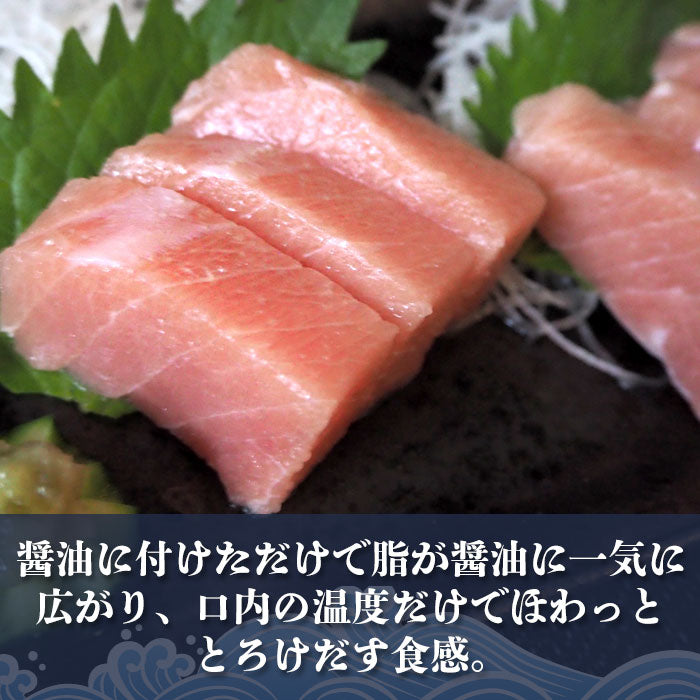 無添加 食べ比べ 大中 トロ セット　計６００ｇ（300ｇずつ） 極上 お刺身 無添加 トロ マグロ まぐろ 天然 国産 ギフト お取り寄せ グルメ お祝い