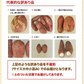 さつまいも 熊本県産 訳あり 紅はるか べにはるか 1kg 送料無料 ※大中小サイズ混合(不選別 ) 焼き芋 さつま芋 薩摩芋《3-7営業日以内に出荷予定(土日祝除く)》