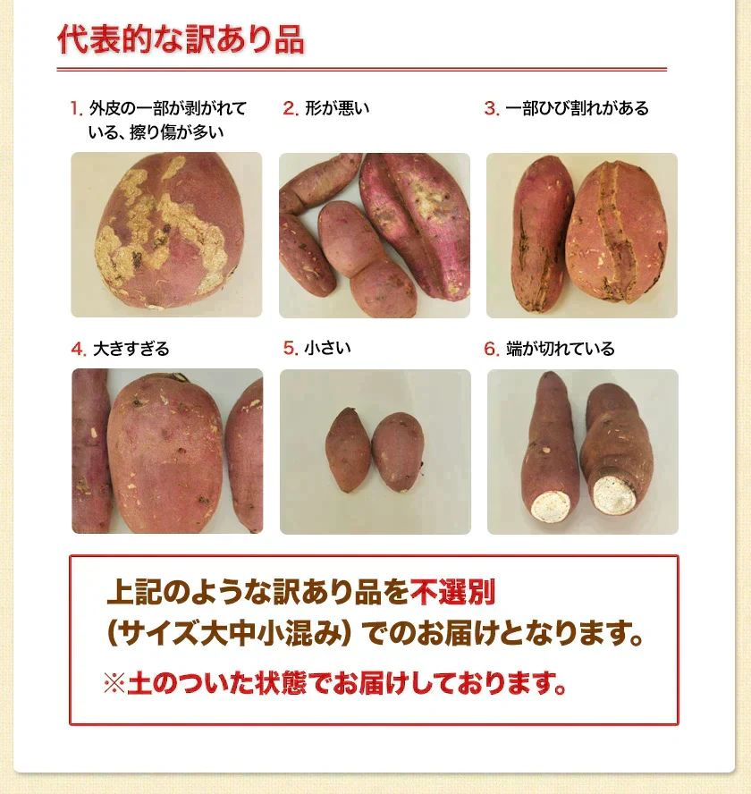 さつまいも 熊本県産 訳あり 紅はるか べにはるか 1kg 送料無料 ※大中小サイズ混合(不選別 ) 焼き芋 さつま芋 薩摩芋《3-7営業日以内に出荷予定(土日祝除く)》
