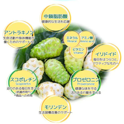有機JAS認定　140種の栄養素【ノニジュース】720ml×4本