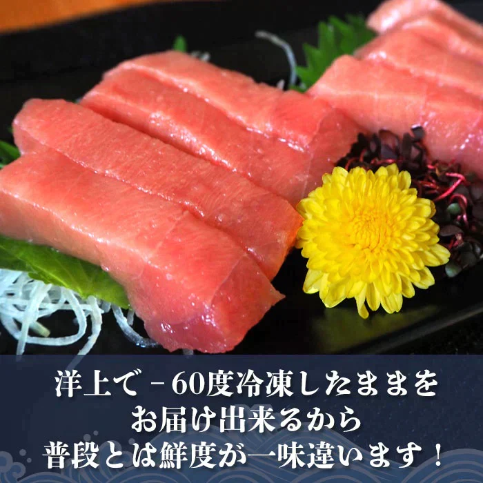 ×ダブリデータ　074-01が正　中とろ　５００ｇ以上保証！ 豊洲 お刺身 海鮮 丼 中トロ 柵 メバチ マグロ