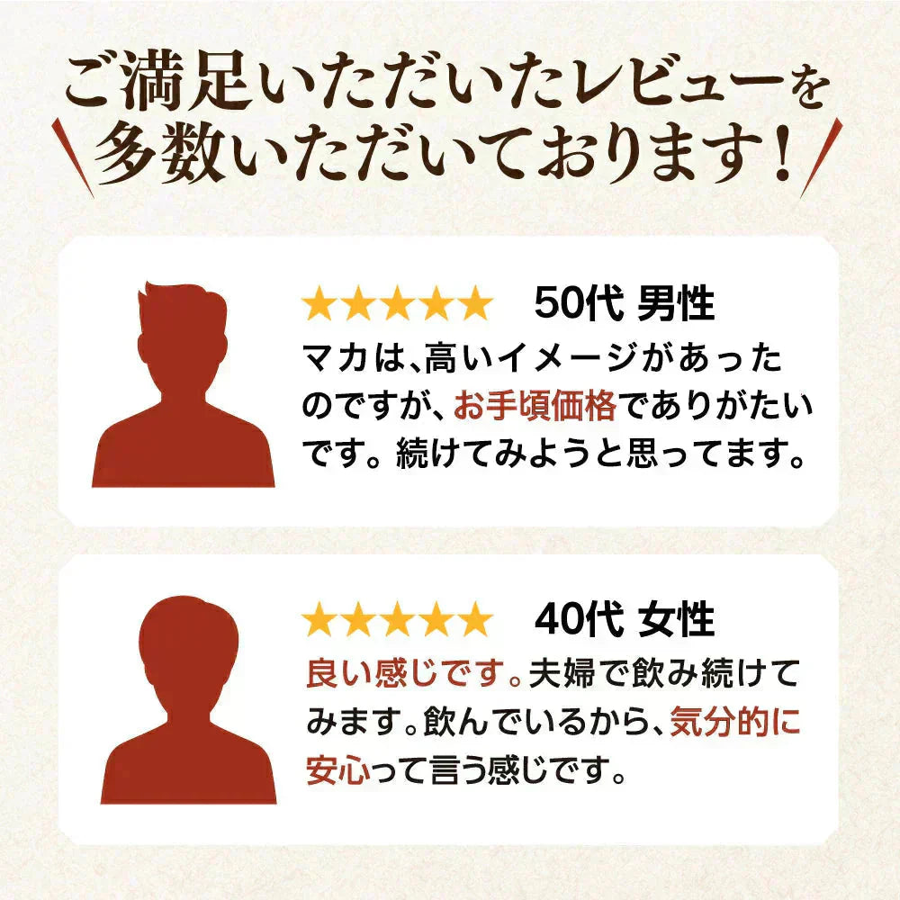 マカ 《約3ヶ月分》　サプリ 亜鉛 鉄 必須アミノ酸 男性 女性 元気 エネルギー ビタミン ミネラル 健康 マカ【大容量】