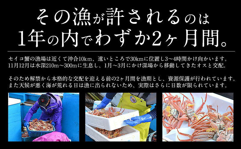 セイコガニ 甲羅盛り 小サイズ 70g前後×3個（甲羅横幅 約7.5cm） 越前松葉 せいこ蟹 蟹 カニ かに 越前がに セイコ蟹 松葉ガニ カニ甲羅盛り 蟹甲羅盛り 食べ物 美味しいお取り寄せ 冷凍かに お取り寄せグルメ 海鮮 冷凍 食べ物 おすすめ食材 美味しいもの 冷凍食材 母の日
