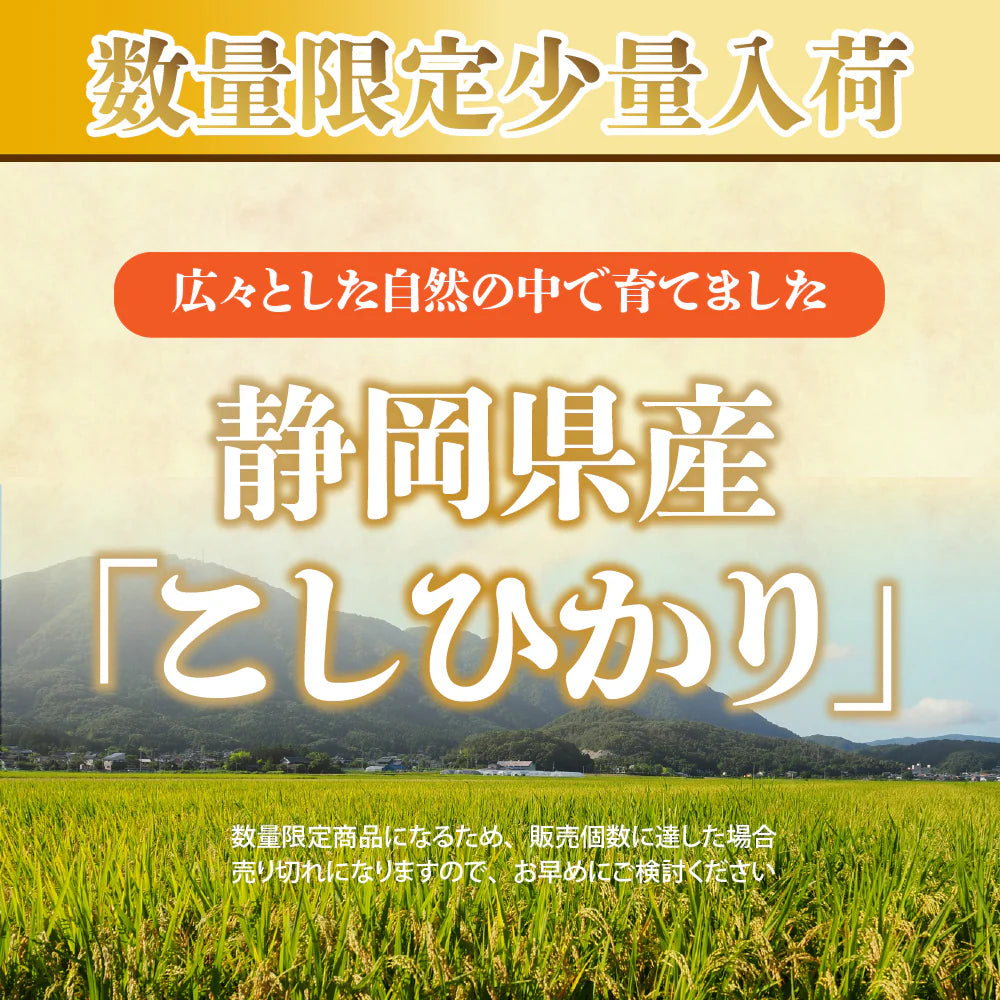 【白米】静岡県産 こしひかり 30kg(5kg×6袋)