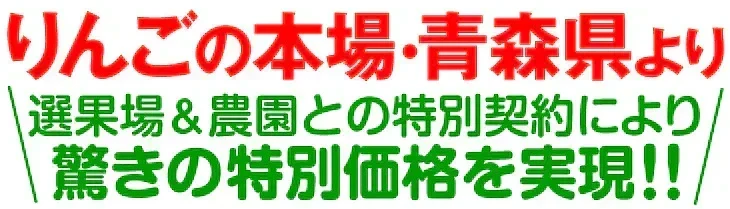 りんご 3kg ご家庭用 サンふじ 訳あり 青森産 常温便 送料無料 食品 【12月中旬より出荷予定】