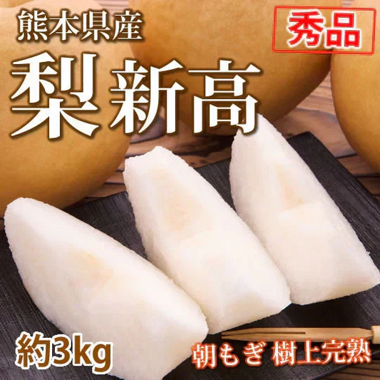 【9月下旬～10月上旬頃より順次出荷】梨 新高 送料無料 秀品 約3kg 5〜8玉 熊本県産 お取り寄せ フルーツ ナシ なし 豊水 秋月