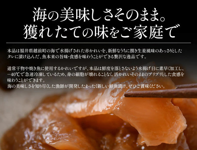 越前 カレイ 漁師飯 カレイ漬け 赤カレイ 越前産 約75g×5パック かれい カレイ 赤かれい 母の日 プレゼント ギフト 母の日思いの 健康 実用的 父の日 子供 孫2023 花以外 母の日ギフト