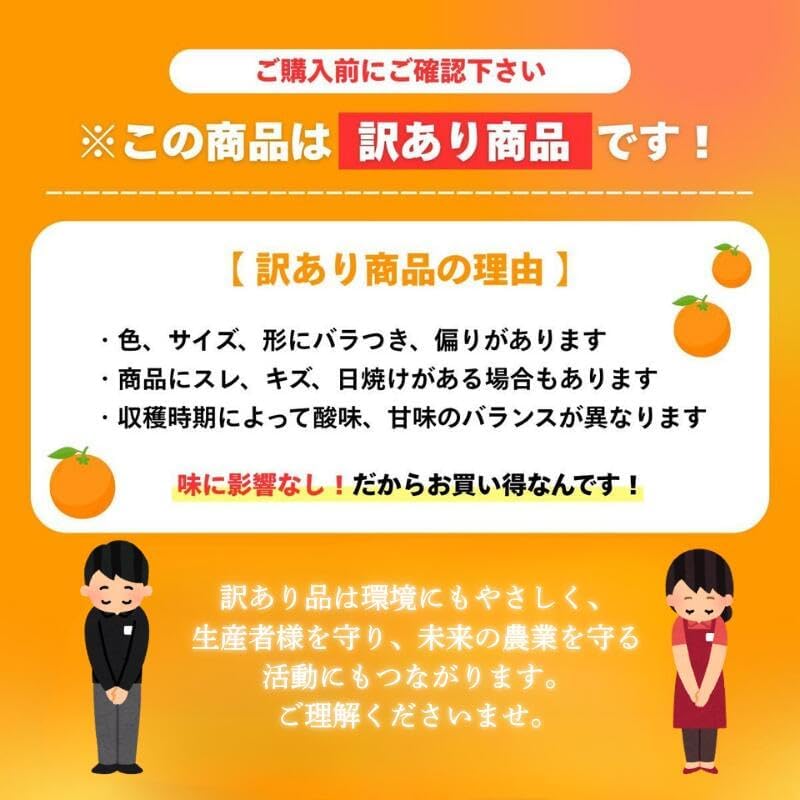 [みさわのやさい] 河内晩柑 訳あり 10kg かわちばんかん 晩柑 愛媛県産 ご家庭用 スレ 汚れ 黒点あり