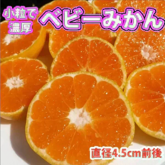 (10月下旬頃から順次発送の予約販売) みかん 激レア小粒 直径4.5cm前後 訳あり 和歌山有田みかん 5kg
