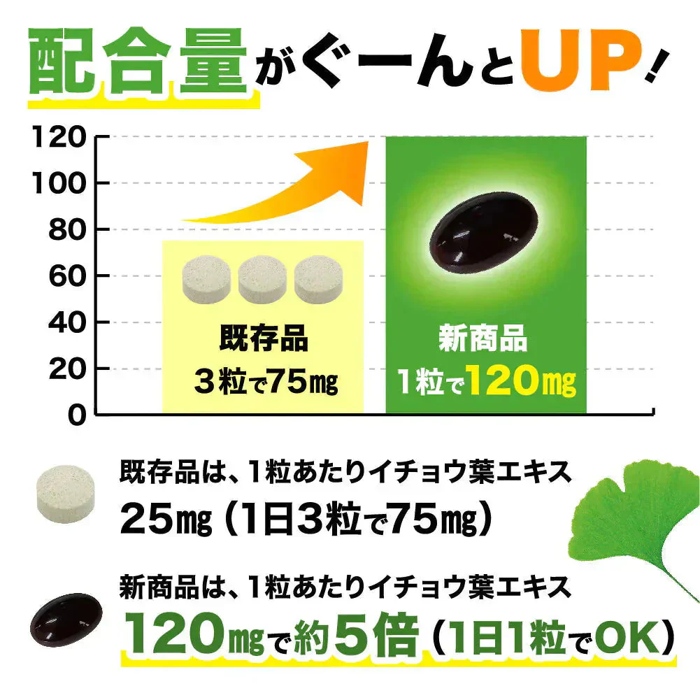 イチョウ葉エキス（約1ヶ月分）イチョウ葉　サプリメント DHA EPA