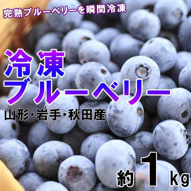 東北産 冷凍ブルーベリー１kg