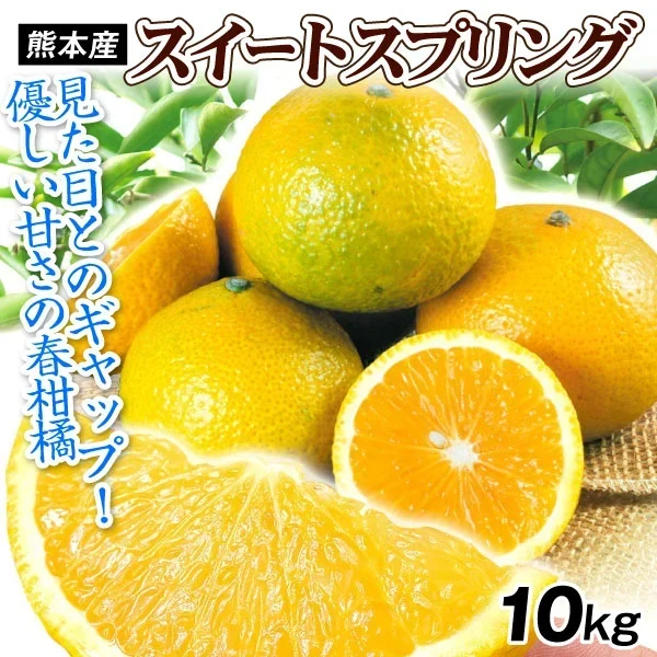 みかん 熊本産 スイートスプリング 10kg ご家庭用 (発送予定：2027年1月下旬より)