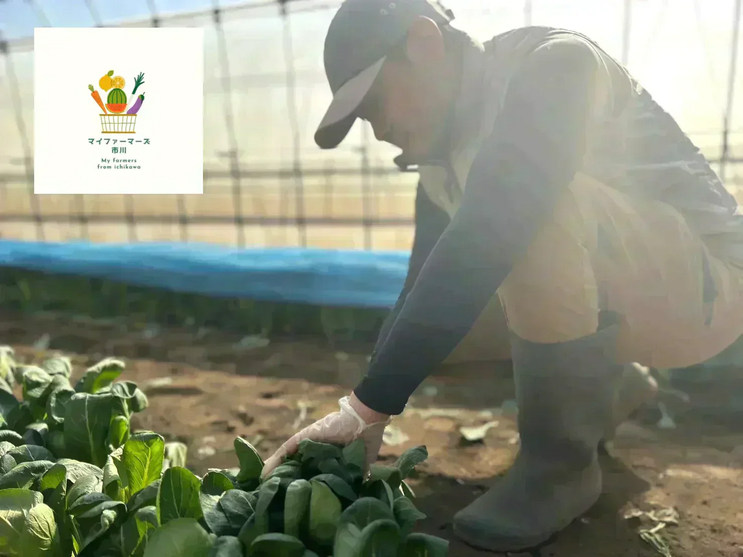 【2022年度 国内No.1獲得！】 クール便 市場直送！ 野菜セット 詰め合わせ 80サイズ箱 【 福袋 】玉ねぎ にんじん じゃがいも みかん 桃 シャインマスカット 食品 料理 フルーツ 果物 ギフト 贈答 お中元 お祝い 正月 謹賀新年