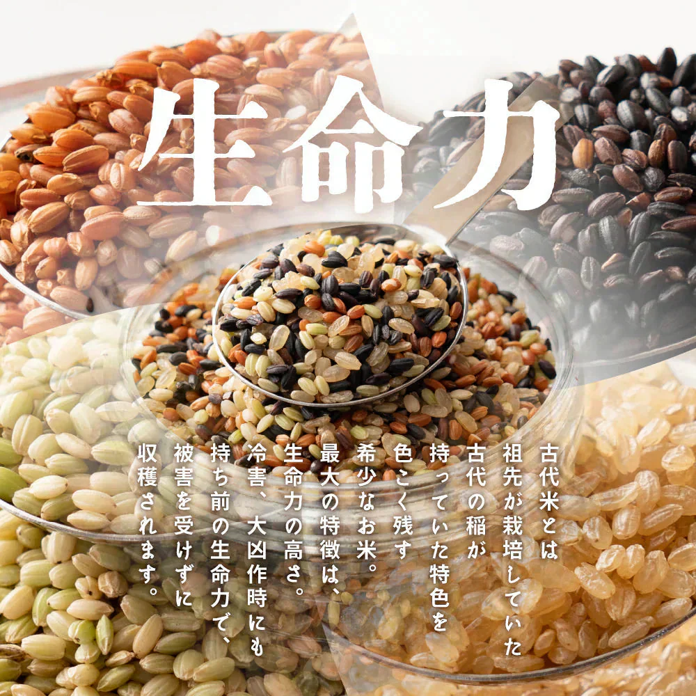 雑穀 雑穀米 国産 古代米４種ブレンド 400g  [黒米/赤米/緑米/発芽玄米] 無添加 無着色 お試しサイズ 送料無料 ポスト投函
