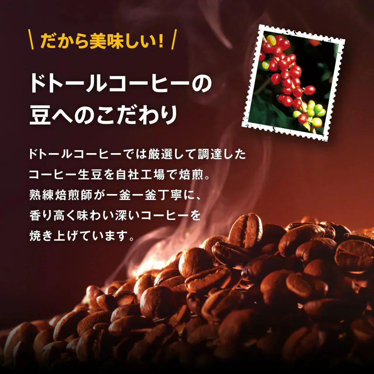【100杯分】ドトールコーヒー ドリップパック モカブレンド 1箱（100袋入）