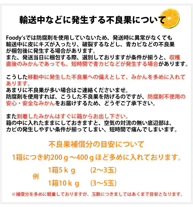 みかん 訳あり 送料無料 1.5kg  熊本みかん 熊本県産 極早生みかん 蜜柑 ミカン