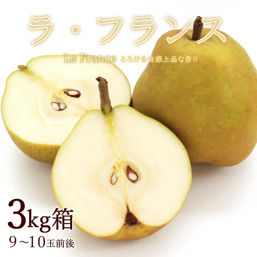 【11月中旬-12月下旬頃ご注文受付順次】洋梨　ラフランス　約3kg（9-10玉前後）化粧箱詰め　中玉サイズ　山形県産　西洋梨　なし　ようなし