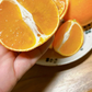 愛媛の高級柑橘　本場！愛媛のまどんな　愛果28号　ご自宅用　5kg(箱代込み）【紅まどんなと同じ品種】高級みかん