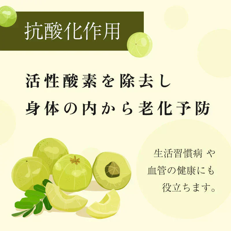 アムラパウダー 無添加 食用 オーガニック 100g 有機 JAS認証 粉末 アムラ 100% パウダー グーズベリー スリランカ ヘアケア 美髪 薄毛 美肌 栄養 健康 サプリメント