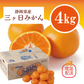 【日本三大みかん！三ケ日みかん！4㎏！】豊洲市場仕入れ　ブランドみかん