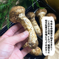 松茸 1パック 中国産 180g〜200g スダチ入り 吸い物 炊き込み 秋の味覚 マツタケ まつたけ