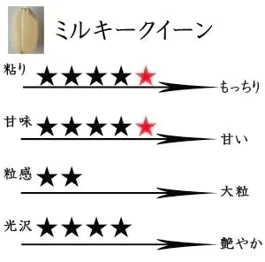 米 三重県伊賀産 ミルキークイーン 白米 10kg ヒラキファーム 令和7年産