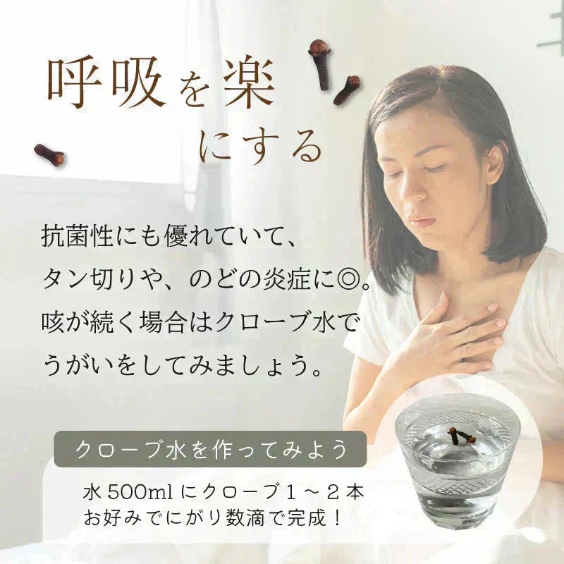 オーガニック クローブ ゴキブリ 対策 無添加 200g ホール スリランカ 有機JAS スパイスカレー セイロン スパイス 香辛料 100g x2