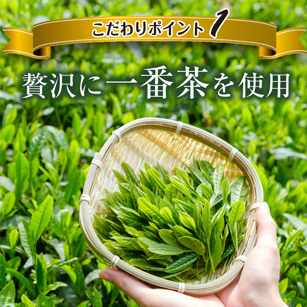 【機能性表示食品】茶匠庵 緑茶ペットボトル 500ml×24本