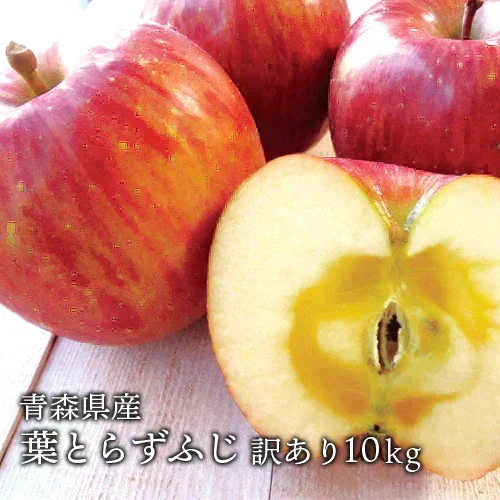 送料無料 青森県産 葉とらず ふじ ご家庭用約10kg ※11月下旬よりご予約順に発送※ 人気の訳ありリンゴ 家庭用 青森 青森産 訳あり サンふじ りんご 林檎 ふじ
