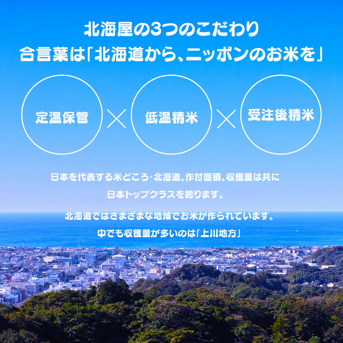 【最安値に挑戦】北海道産 ななつぼし 10Kg 米 白米 精米 お米 10キロ 国産 美味しい米 北海道のお米 こだわり製法 定温保管 低温精米 国産米 おいしいお米 お取り寄せグルメ 美味しい おいしい  北海屋  紋別 お米ギフト