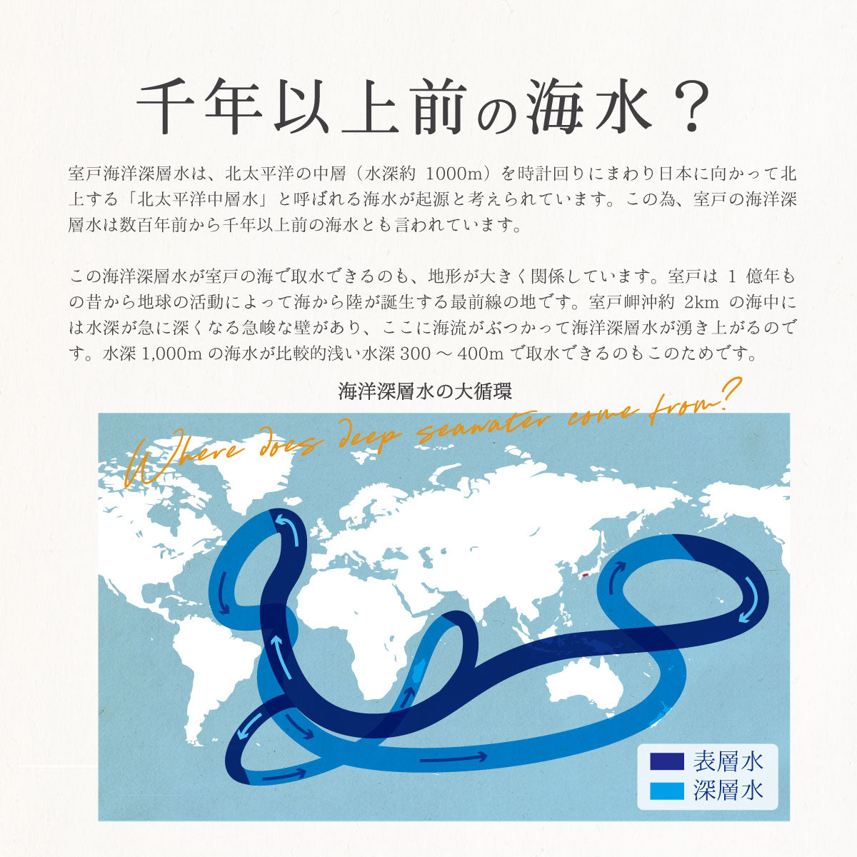 濃縮マグネシウム 500ml 2本