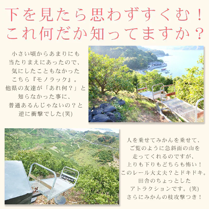みかん　吉田みかん　５ｋｇ　ｆ吉０５　家庭用　M～2L　愛媛　吉田　果物　フルーツ　柑橘　ミカン　蜜柑　　訳あり　送料無料