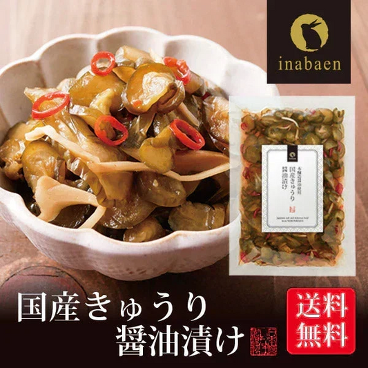 日本橋いなば園 国産きゅうり醤油漬け 100g メール便送料無料