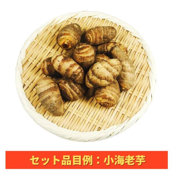 【送料無料】おせち・お雑煮等おまかせ年末年始用京野菜セット(8～10品目以上)【レシピ付】(堀川ごぼう、聖護院大根、小海老芋、京人参、雑煮大根、京小松菜、京柚子、頭芋、京甘藷、京くわい、山の芋、京辛味大根、京筍(水煮)、京芹など)
