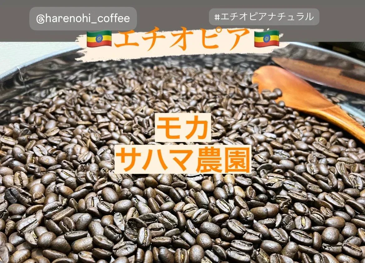 【お試し】スペシャルティコーヒー「モカ（サハマ農園）」🇪🇹 50g 豆 送料無料