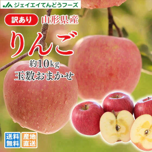 【11gatu 】りんご 訳あり 山形県産 約10kg(玉数おまかせ) 送料無料 品種おまかせ バラ詰め ※一部地域は別途送料追加 フルーツ 果物 果物 順次発送 ap13