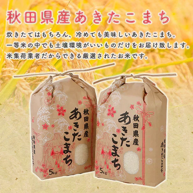 【精米5ｋｇ】令和7年産　秋田県産　あきたこまち　5ｋｇ　米びつ当番【天鷹唐辛子】プレゼント付き