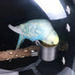 インコケージ キャリー バッグ 持ち運び 鳥 キャリーバッグ 外出 小鳥 キャリーケース リュック お出かけ 文鳥 鳥かご お散歩 w414B(レッド)