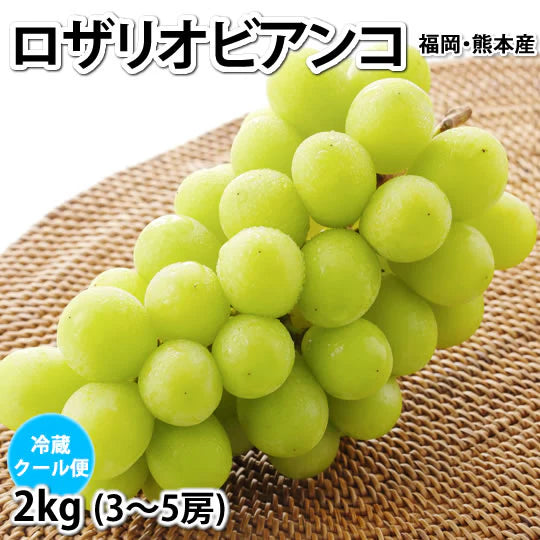 【9月上旬～中旬頃より順次出荷】ロザリオビアンコ ぶどう 送料無料 2kg 3～5房 〈クール便でお届け〉 福岡・熊本県産 シャインマスカット 葡萄 ブドウ