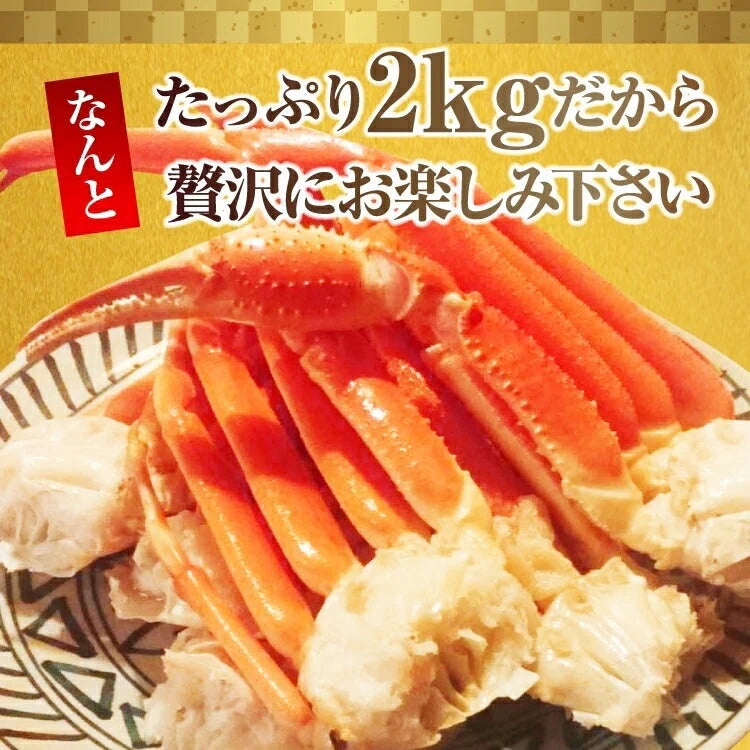 4L極上ボイル ズワイガニ足2キロ(5-7肩）